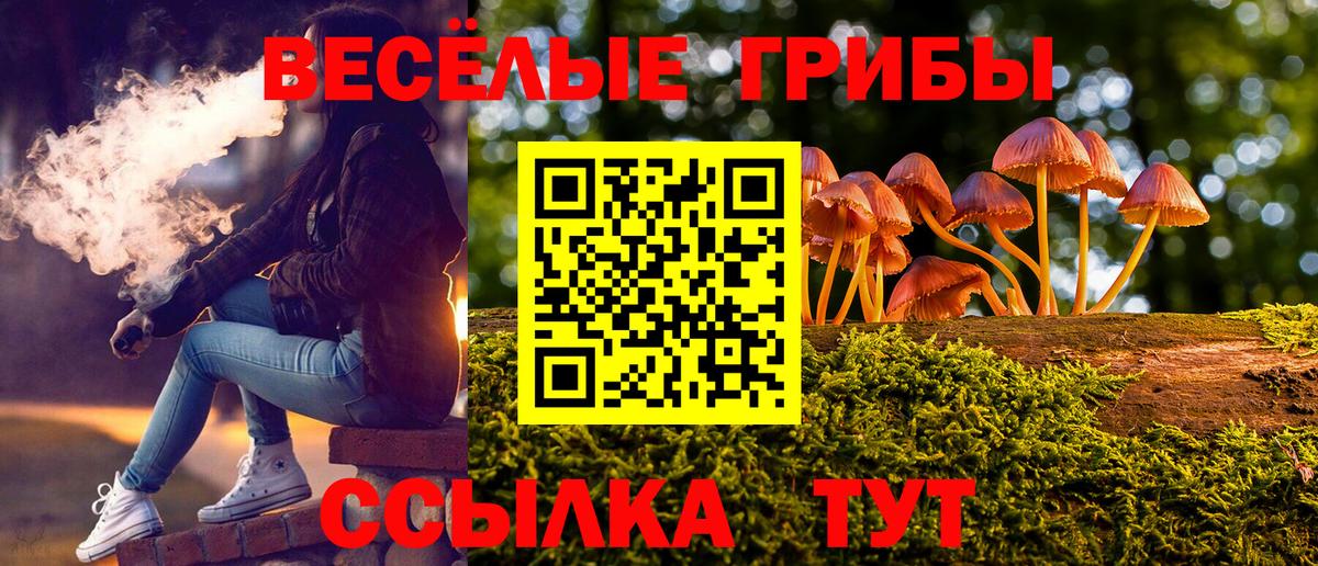 Псилоцибиновые грибы Magic Shrooms Пугачёв