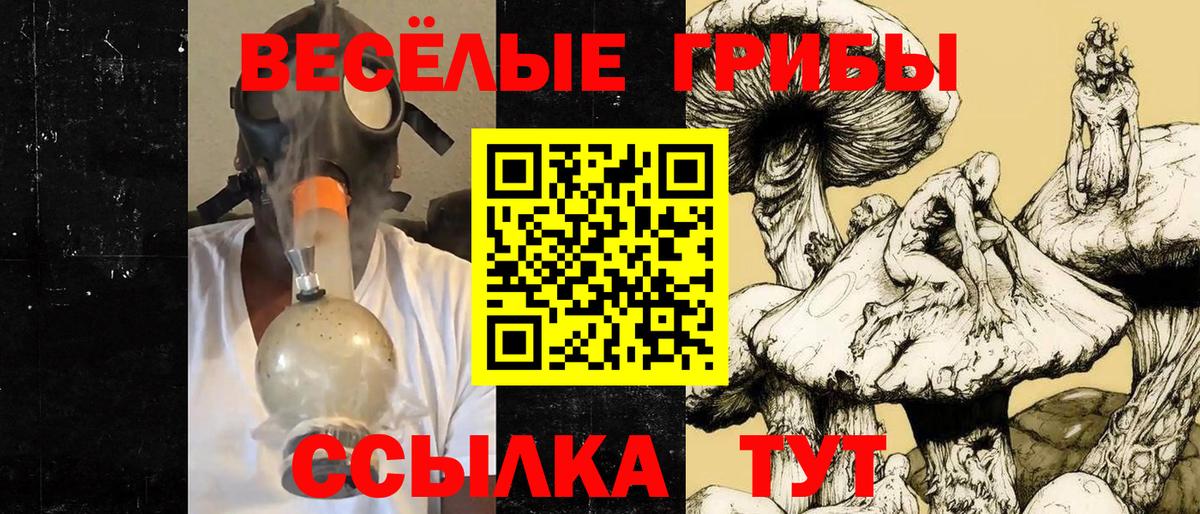 Псилоцибиновые грибы Cubensis  Вход с VPN  Пугачёв 